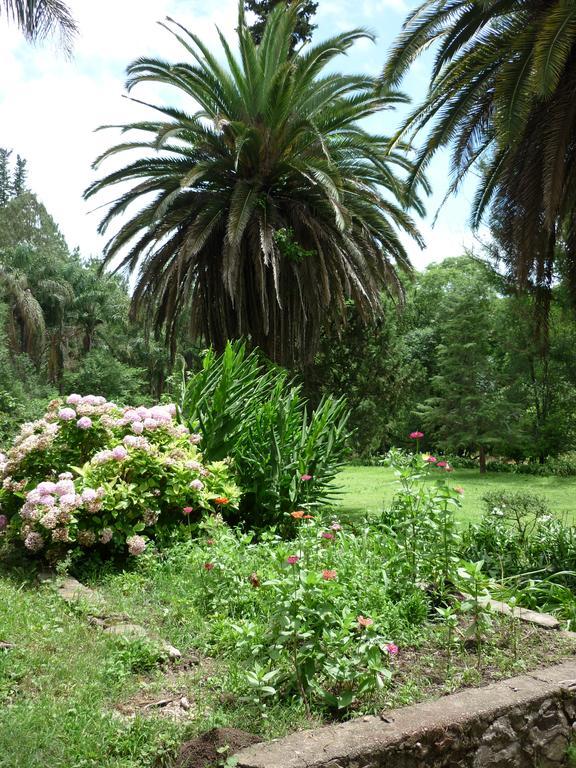 סן סלבדור דה ג'ולוי Finca La Colorada מראה חיצוני תמונה