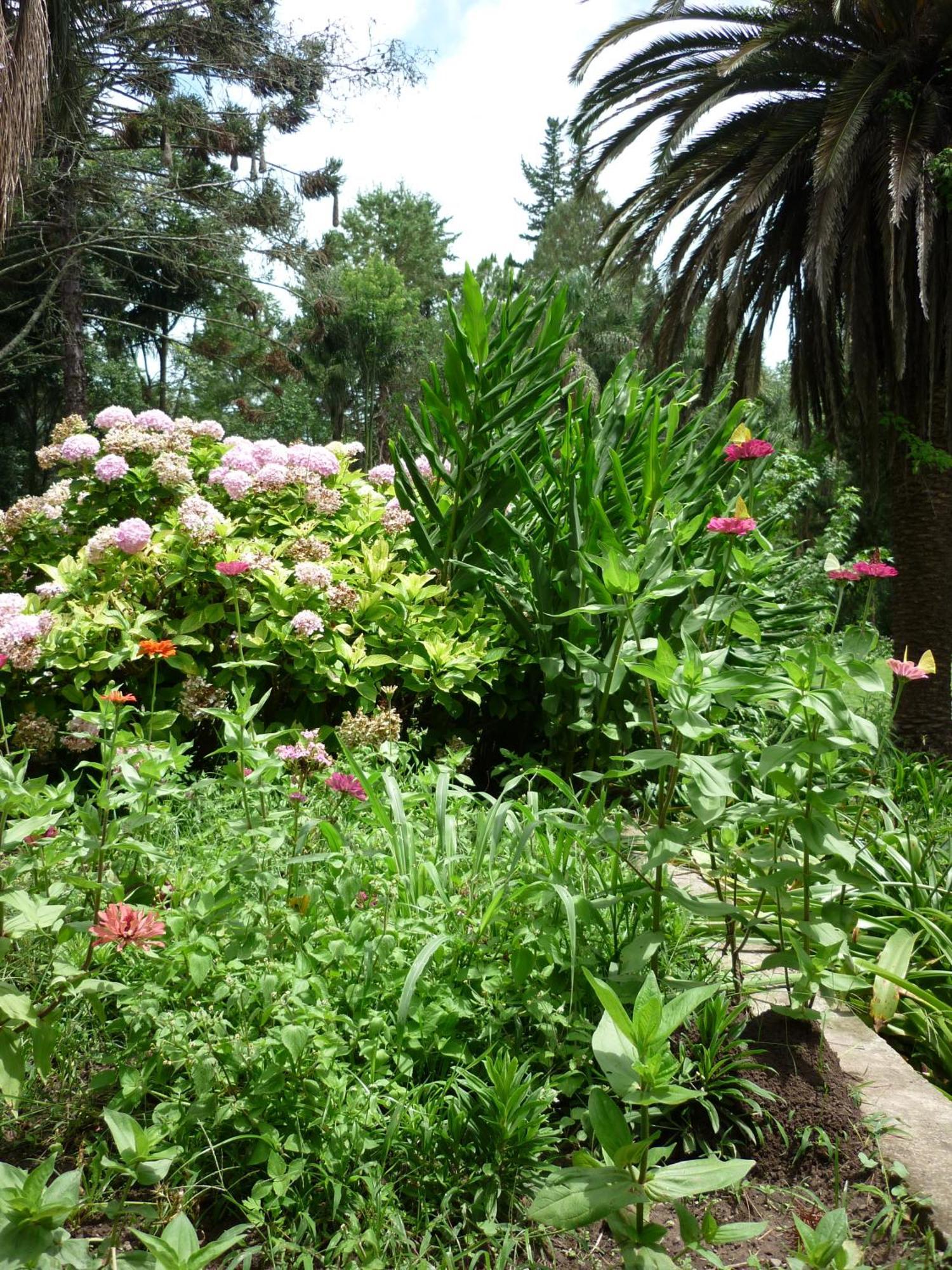 סן סלבדור דה ג'ולוי Finca La Colorada חדר תמונה